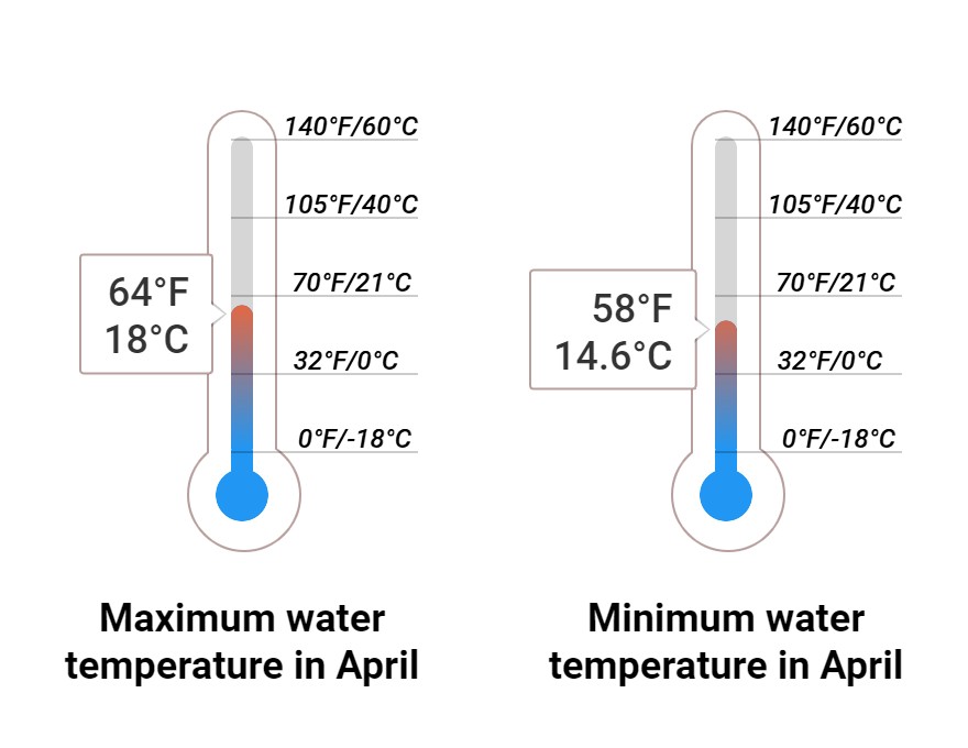 Average Sea temperature